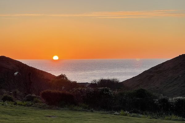 IMG_9706